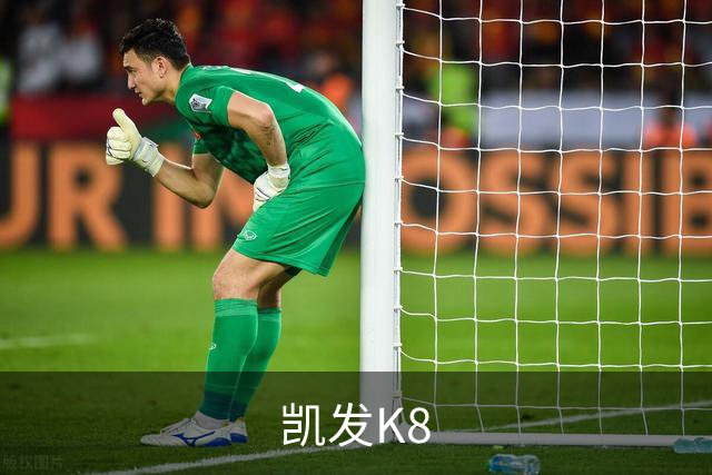 凯发K8公司简介
